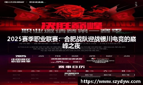 2025赛季职业联赛：合肥战队迎战银川电竞的巅峰之夜