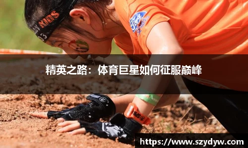精英之路：体育巨星如何征服巅峰